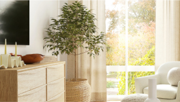 写真：ベージュのカーテン、白いソファに観葉植物